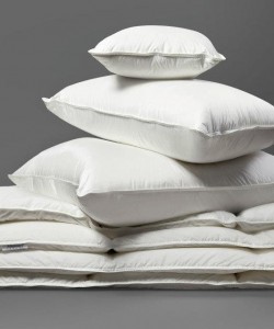 AllerGuard-Pillows-and-Duvets-250x300